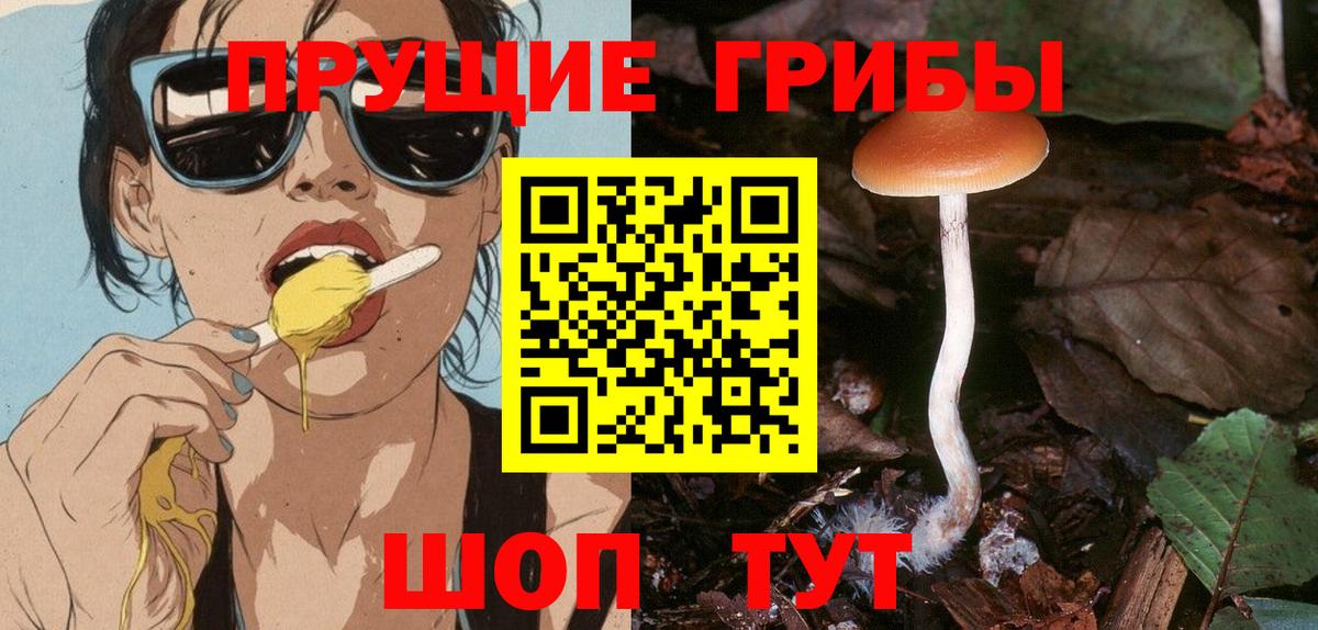 Псилоцибиновые грибы ЛСД Брянск