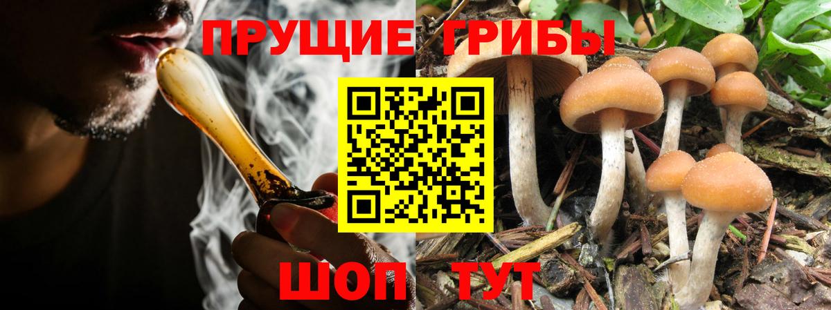 Псилоцибиновые грибы Psilocybine cubensis  Галлюциногенные грибы прущие грибы  Вход с VPN  купить закладку  Брянск 